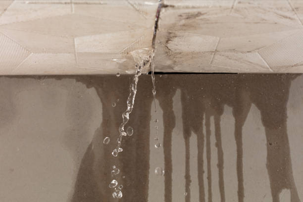 Professional Water Damage Repair technician working in Chocorua, NH